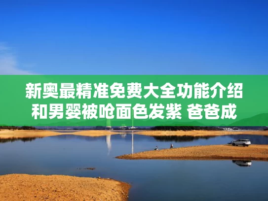 admin 第315页