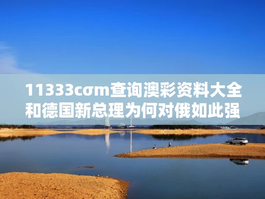 11333cσm查询澳彩资料大全和德国新总理为何对俄如此强硬与