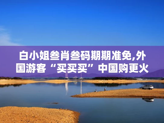 白小姐叁肖叁码期期准免,外国游客“买买买”中国购更火了