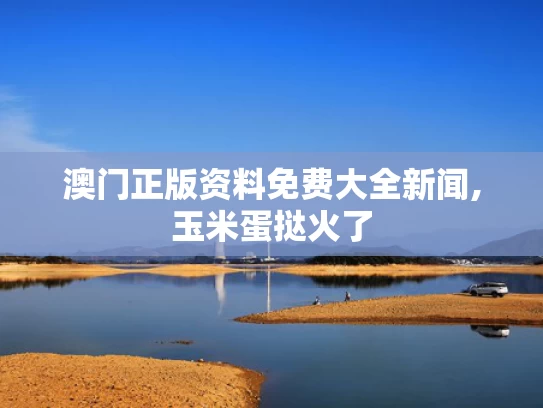 澳门正版资料免费大全新闻,玉米蛋挞火了