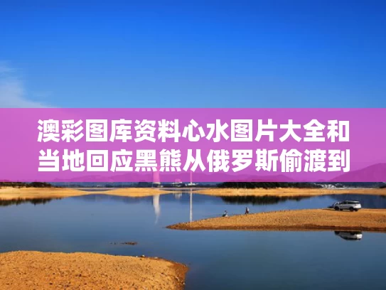 澳彩图库资料心水图片大全	和当地回应黑熊从俄罗斯偷渡到中国与