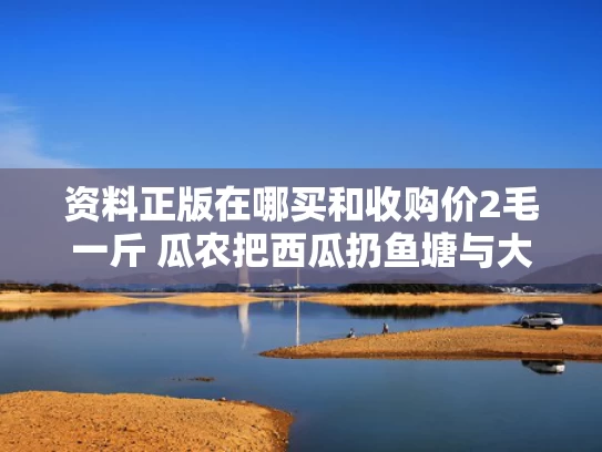资料正版在哪买和收购价2毛一斤 瓜农把西瓜扔鱼塘与大量收购西瓜老板