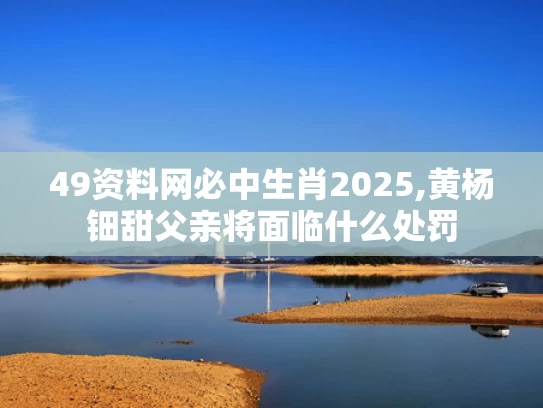 49资料网必中生肖2025,黄杨钿甜父亲将面临什么处罚