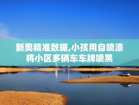 新奥精准数据,小孩用自喷漆将小区多辆车车牌喷黑
