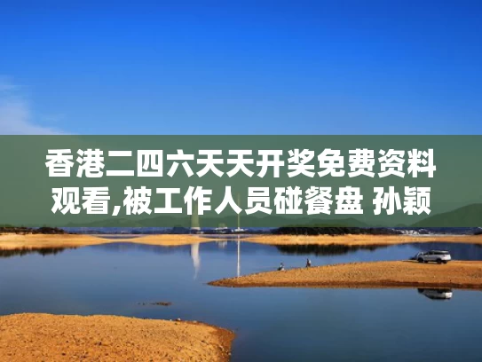 香港二四六天天开奖免费资料观看,被工作人员碰餐盘 孙颖莎急忙制止