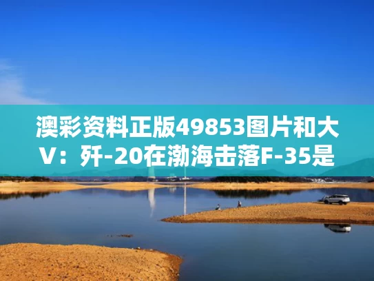 澳彩资料正版49853图片	和大V：歼-20在渤海击落F-35是谣言与海军歼20