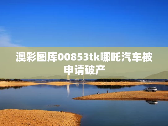 澳彩图库00853tk	哪吒汽车被申请破产
