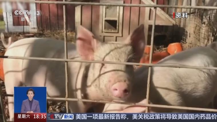 （央视曝光云养殖骗局是真的吗）