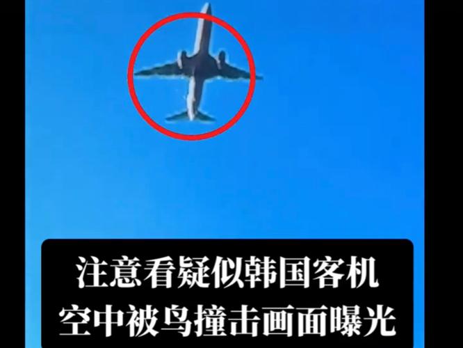 新澳今天最新资料大全和韩国发生飞机坠毁与韩国发生飞机坠毁事件
