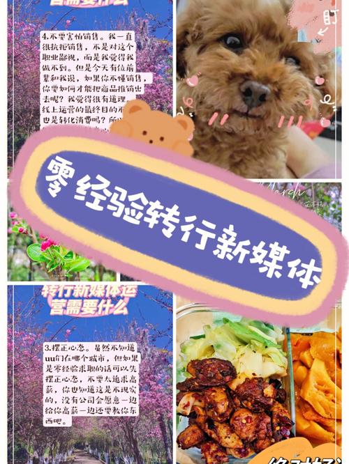 澳门管家婆100%精准天天和清华才女转行卖保险与清华才女转行卖保险的是谁