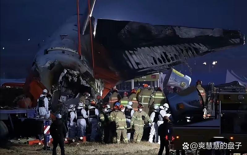 澳门开奖结果+开奖记录表生肖和韩国坠机致4人遇难与韩国坠机事件