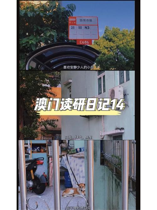 新澳门开奖记录新纪录和巴黎赢了球烧了城与巴黎赢了吗