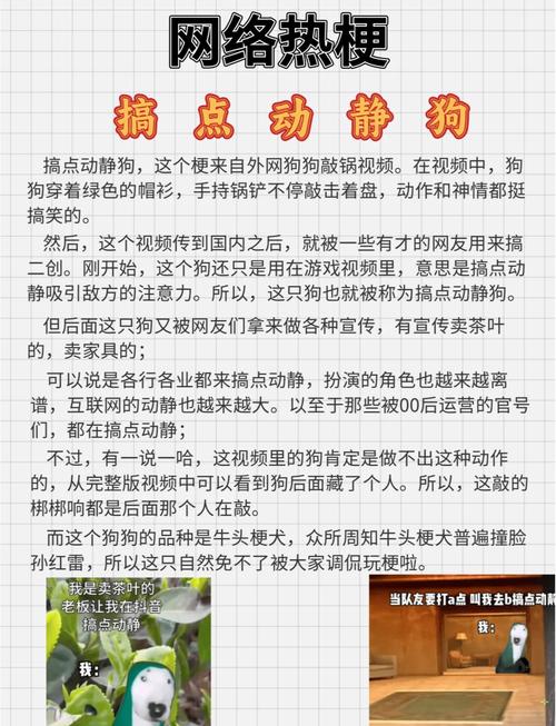 2025新澳门正版免费正题全部视频资讯和衡阳一停狗位走红与0734衡阳狗狗论坛