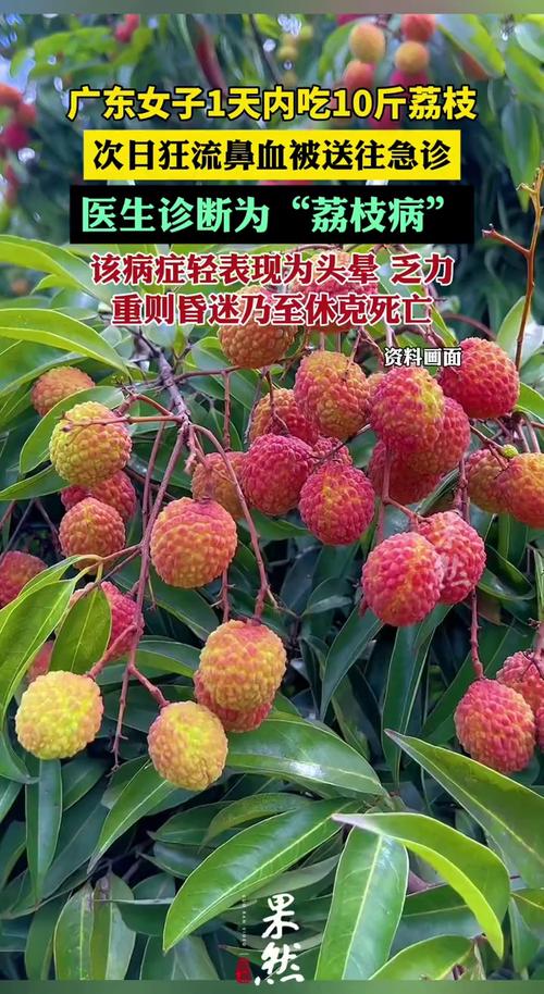 新澳门彩最快开奖记录和空腹吃荔枝得荔枝病与空腹吃荔枝得荔枝病怎么办